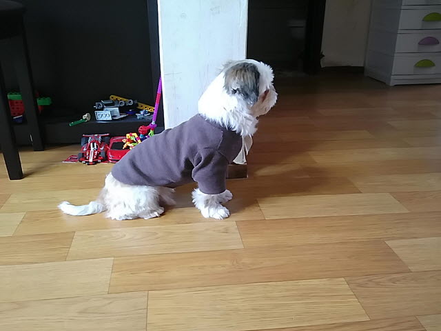 참이의 두번째 이야기