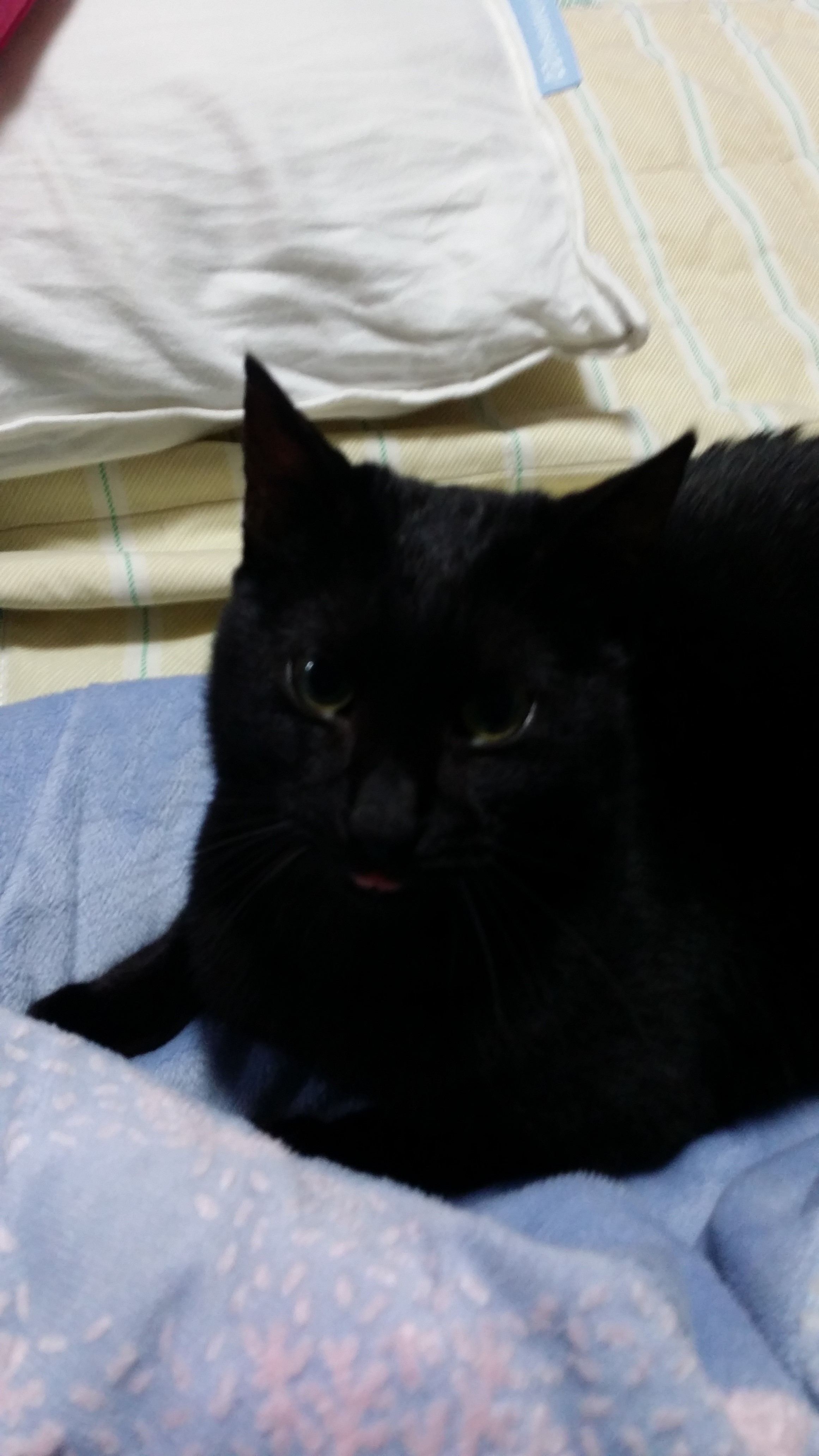넌~나에게 행복함을줬어