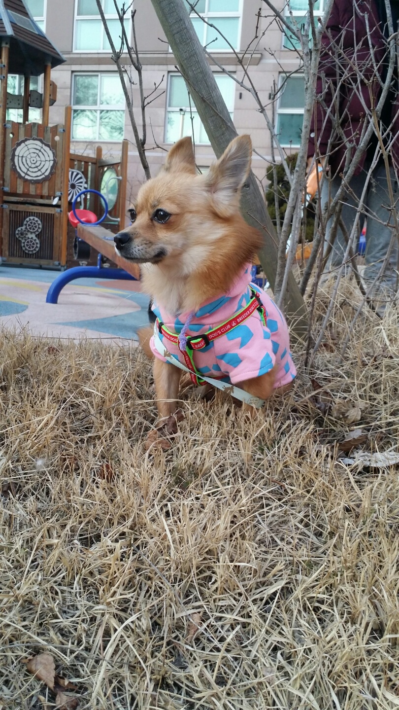 땅콩이의 첫번째 후기