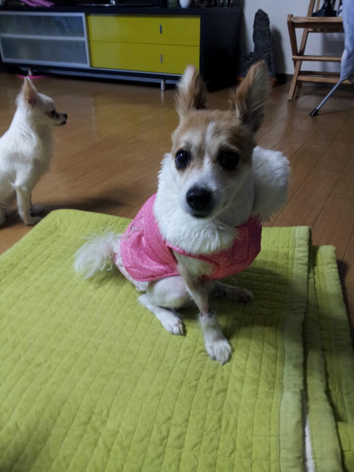 울아들 밤톨~♡