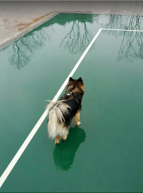 베를린 산책~~