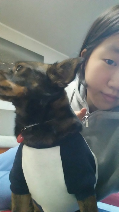 한스의 두번째 이야기