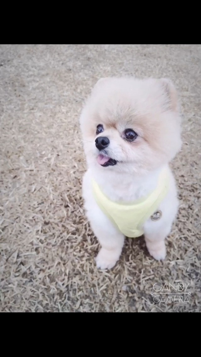 할배의 변신은 무죄^^ (치콘이 두번째 후기)