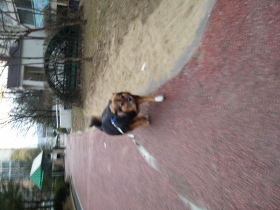 내 친구 정왕이~♥