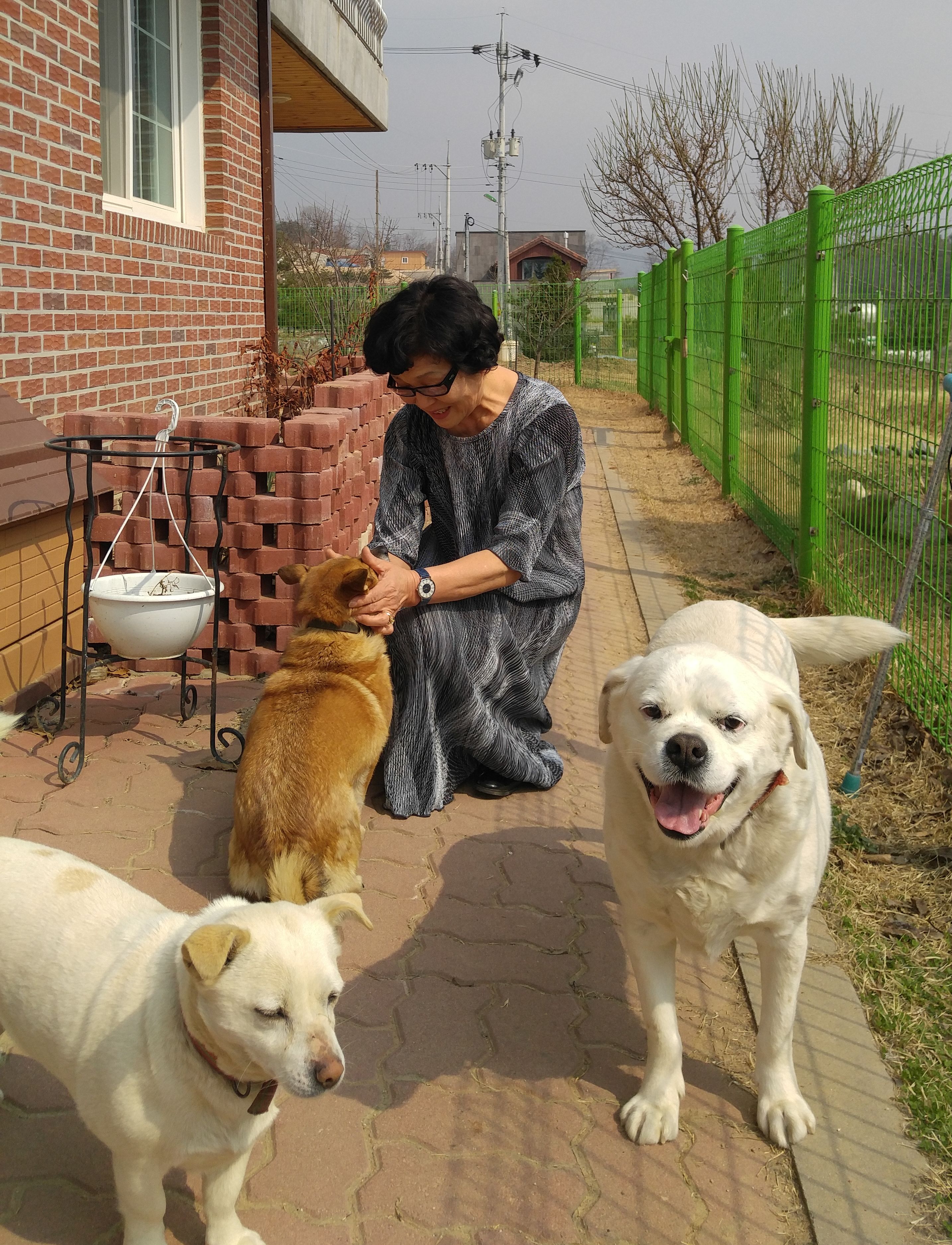 4년전 입양한 범이 사진