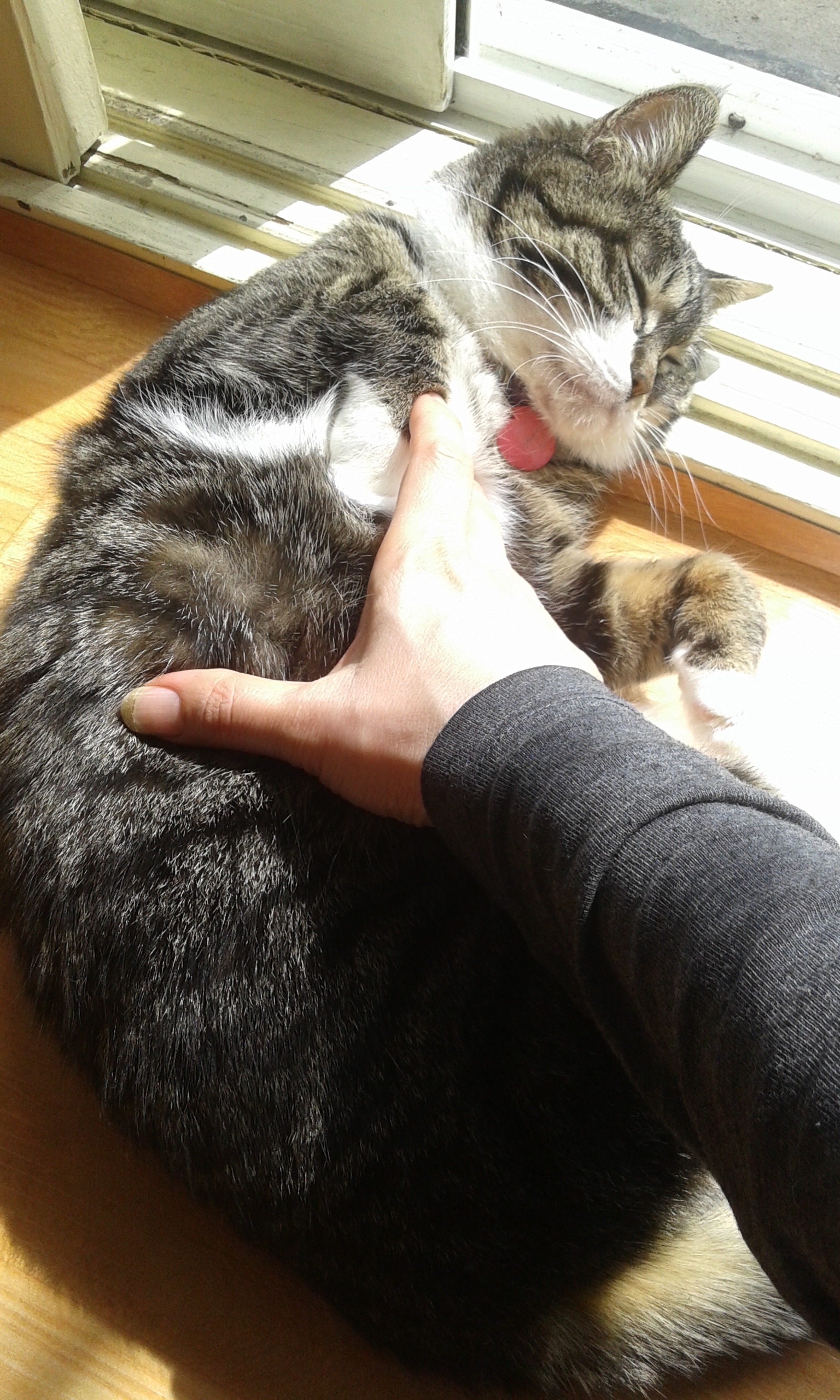 온지 한달째인 구슬이 입니다~~
