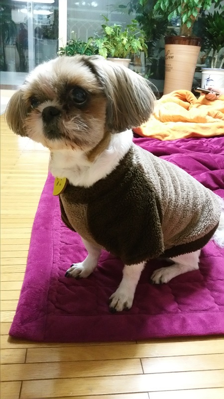몽이 올겨울 자~알 지냈어용~