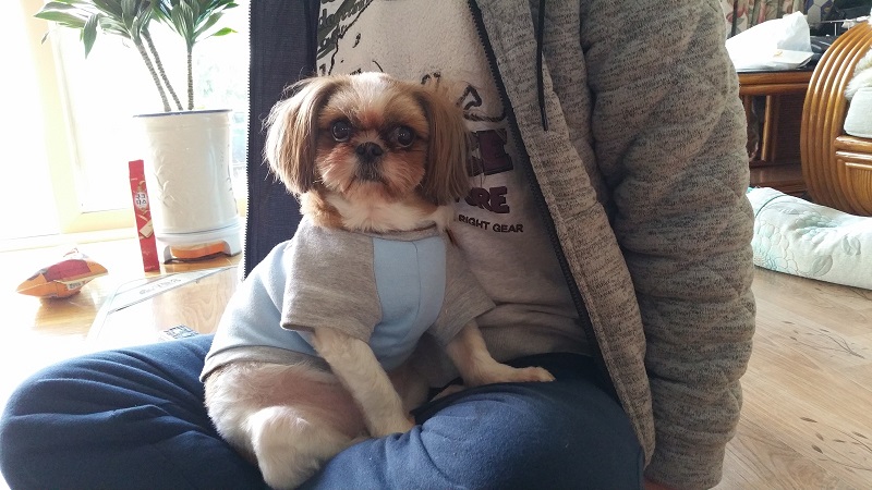 몽이 올겨울 자~알 지냈어용~