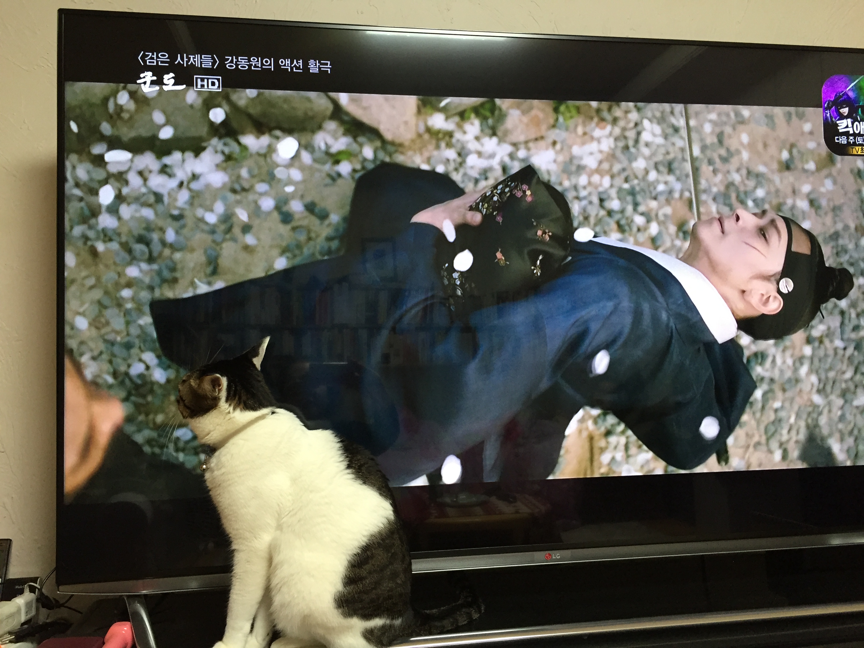 안녕하세요. 미키엄마입니다