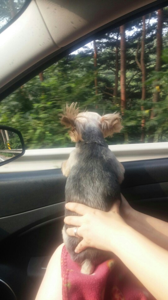 테리도 잘 지내고 있습니다~