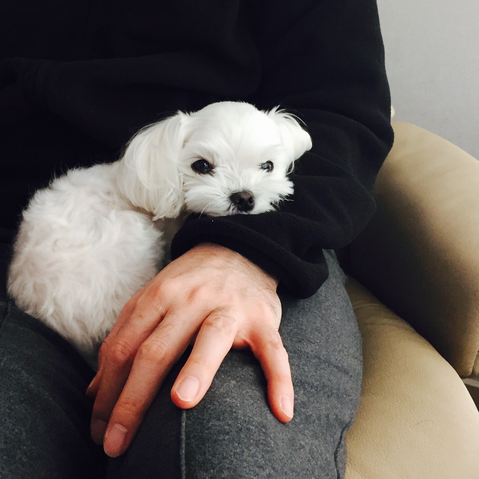 오랫만이예요 다롱입니다^^