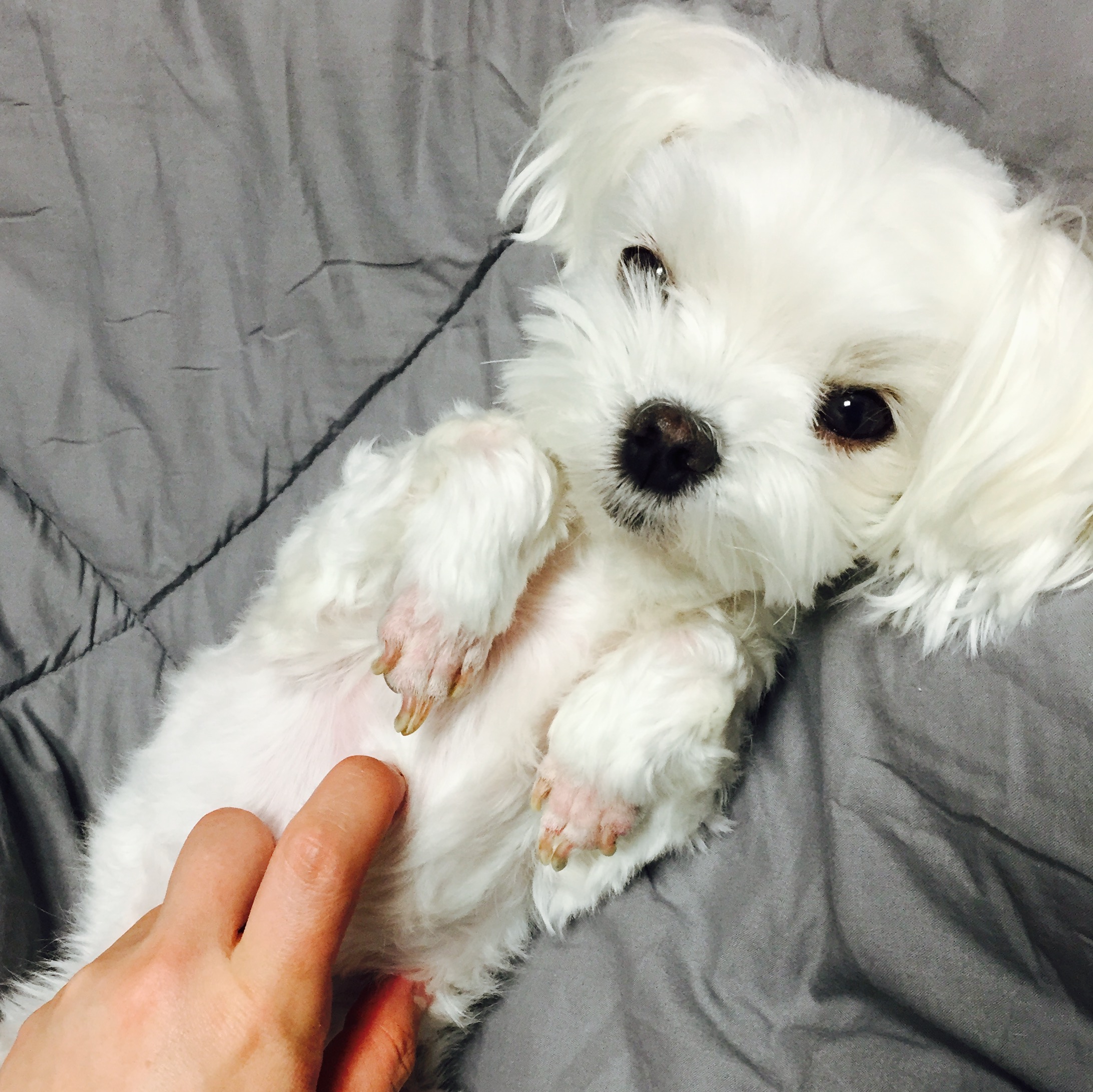 오랫만이예요 다롱입니다^^