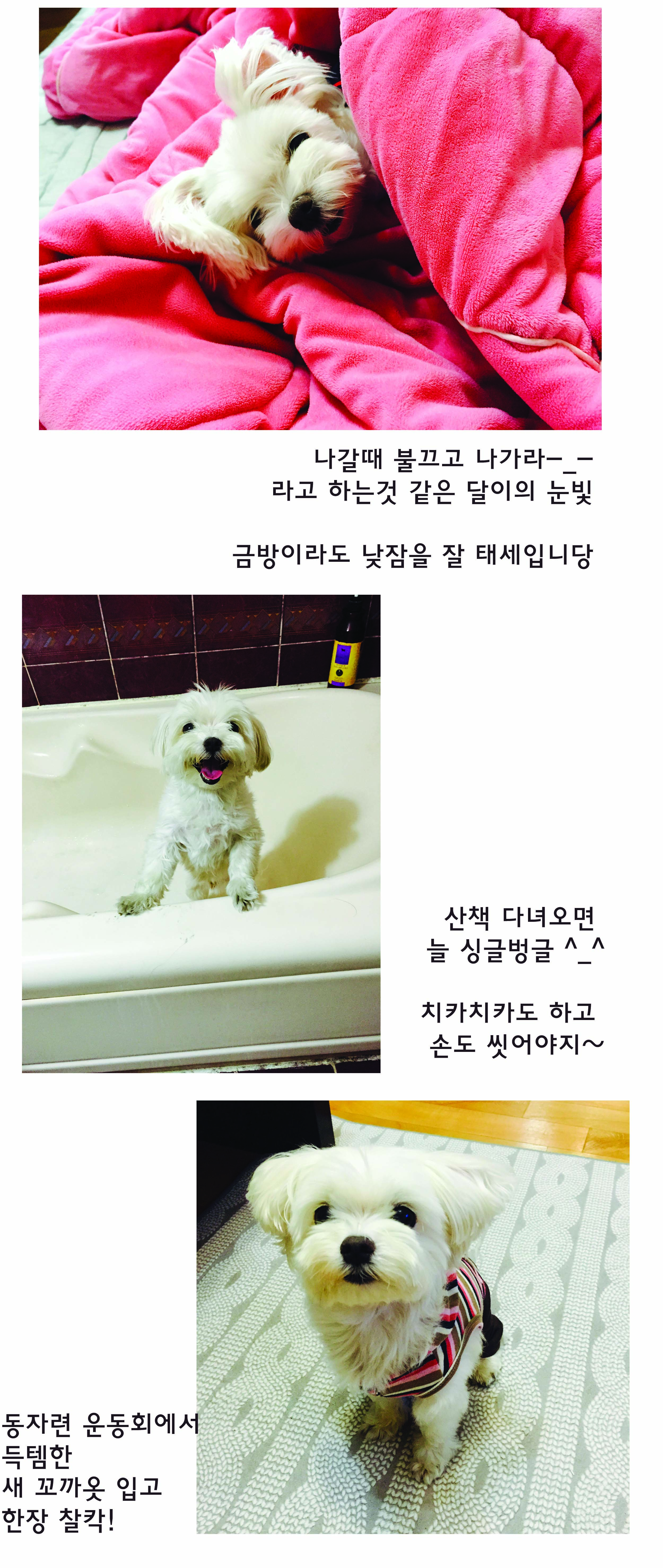 달이 오랜만에 안부인사드려요!