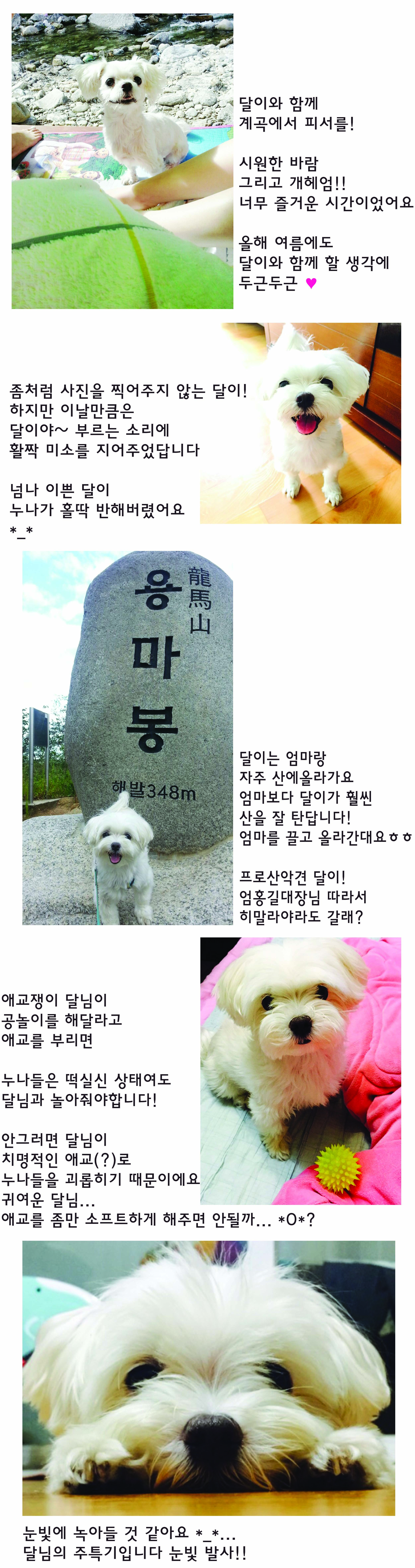 달이 오랜만에 안부인사드려요!