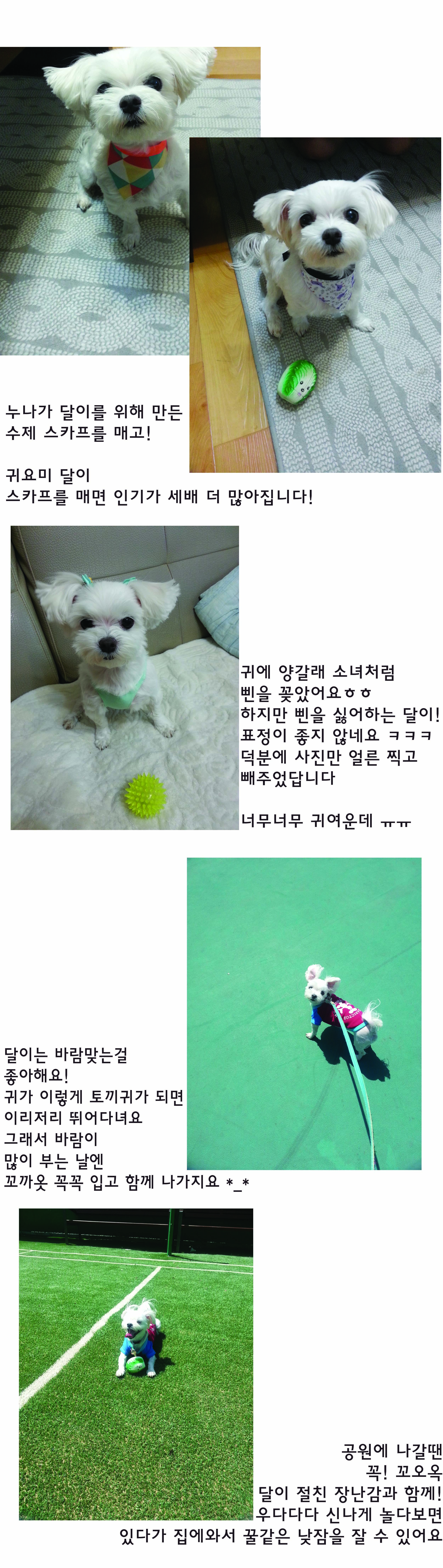 달이 오랜만에 안부인사드려요!