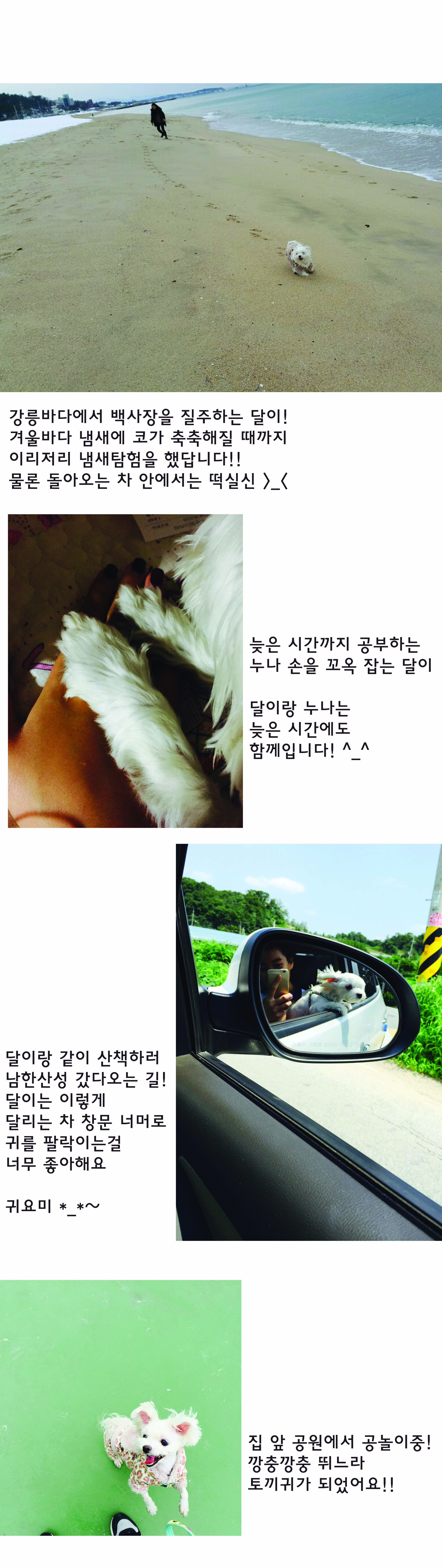 달이 오랜만에 안부인사드려요!
