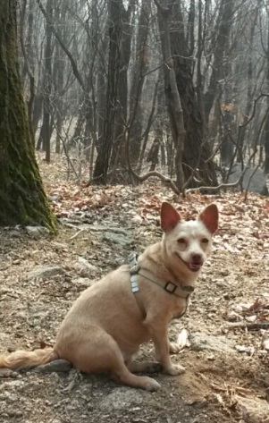 방울이 왔어요