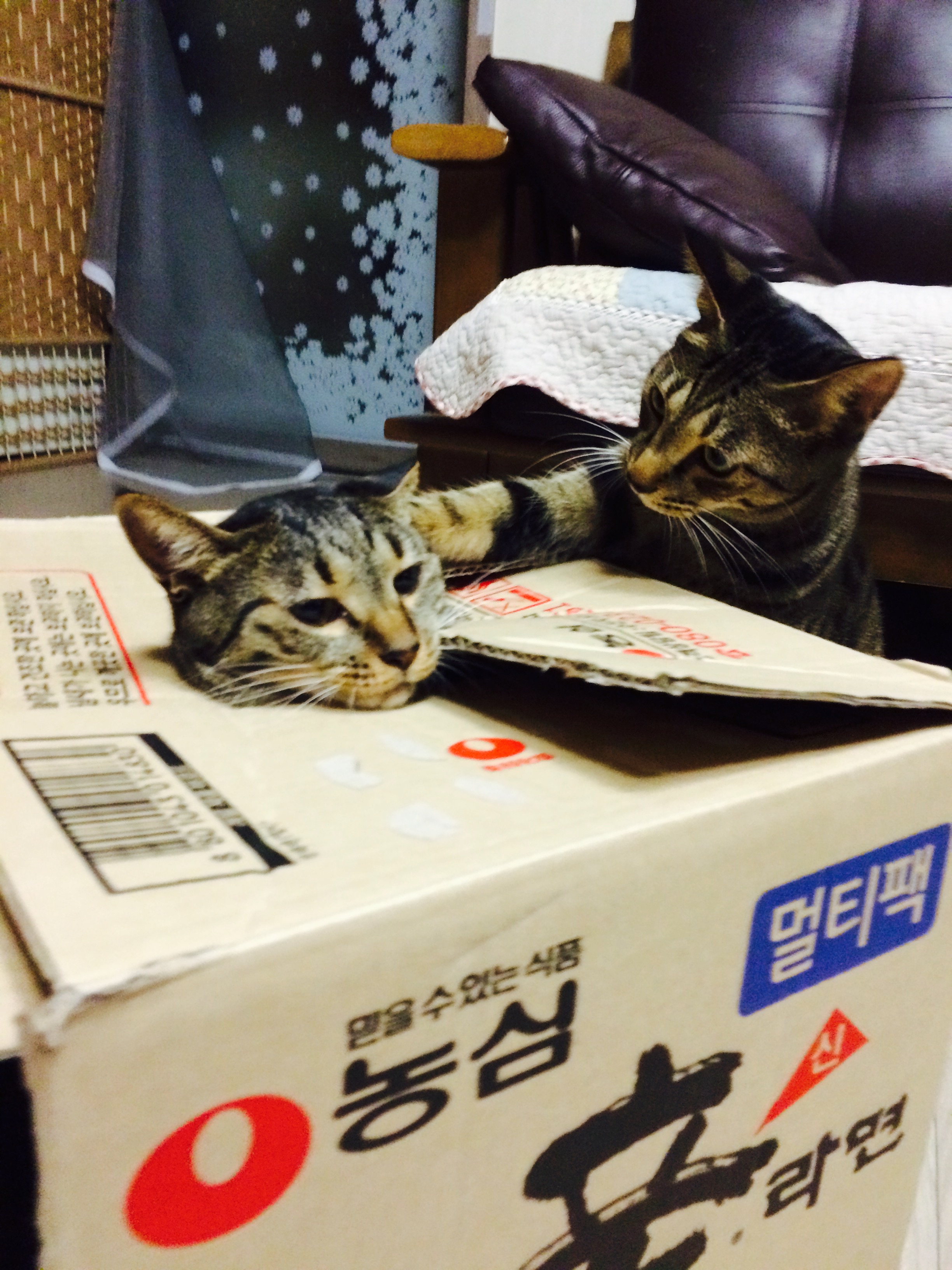 별이랑 밤이랑~