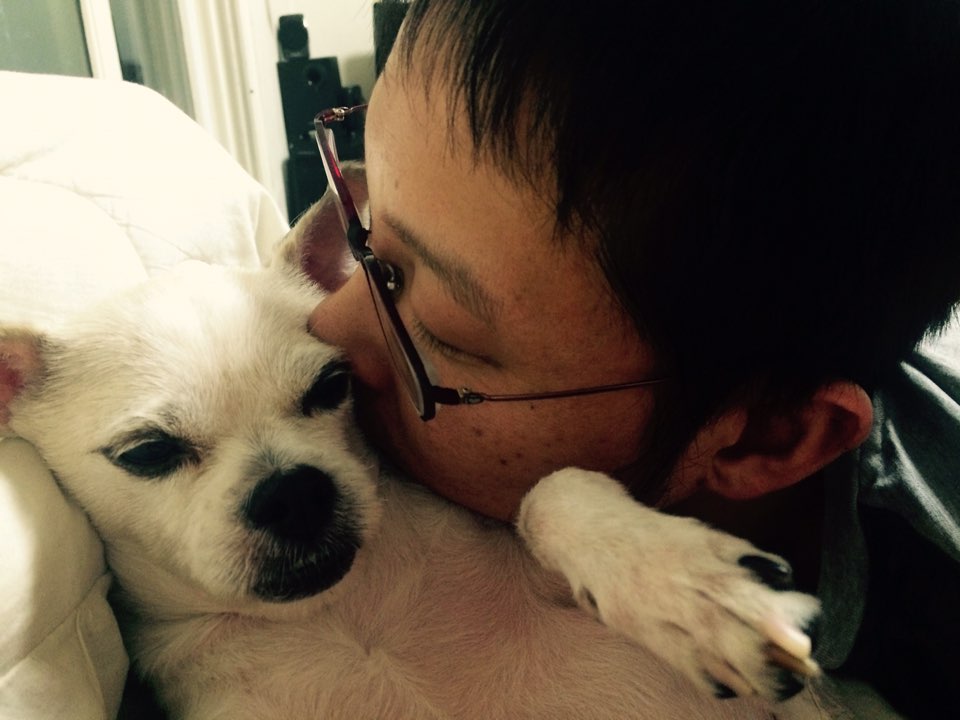 우리에게 온지 벌써 5년차 하랑이 인사올립니다. 