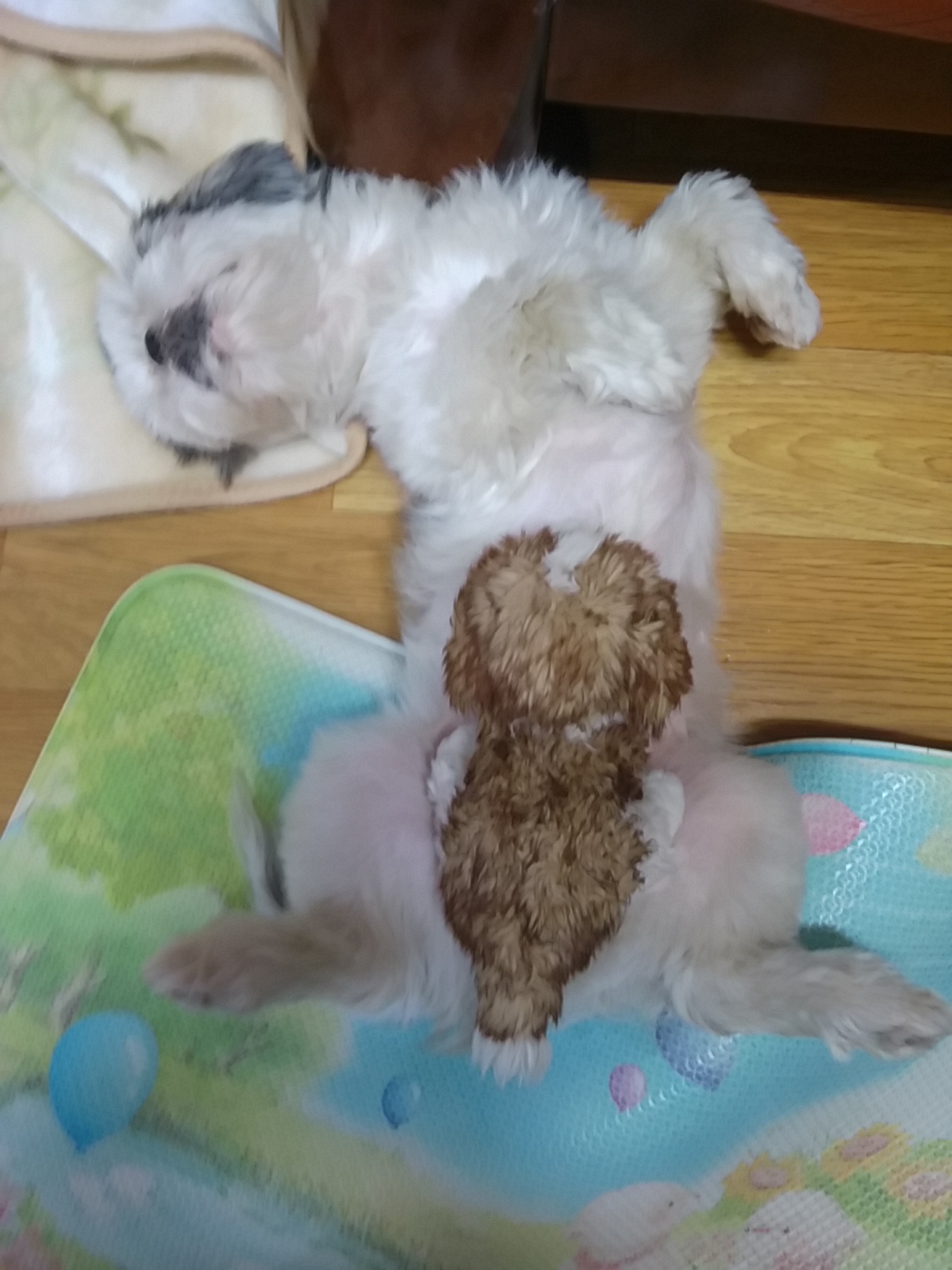 참이 잘 지내고 있어요.