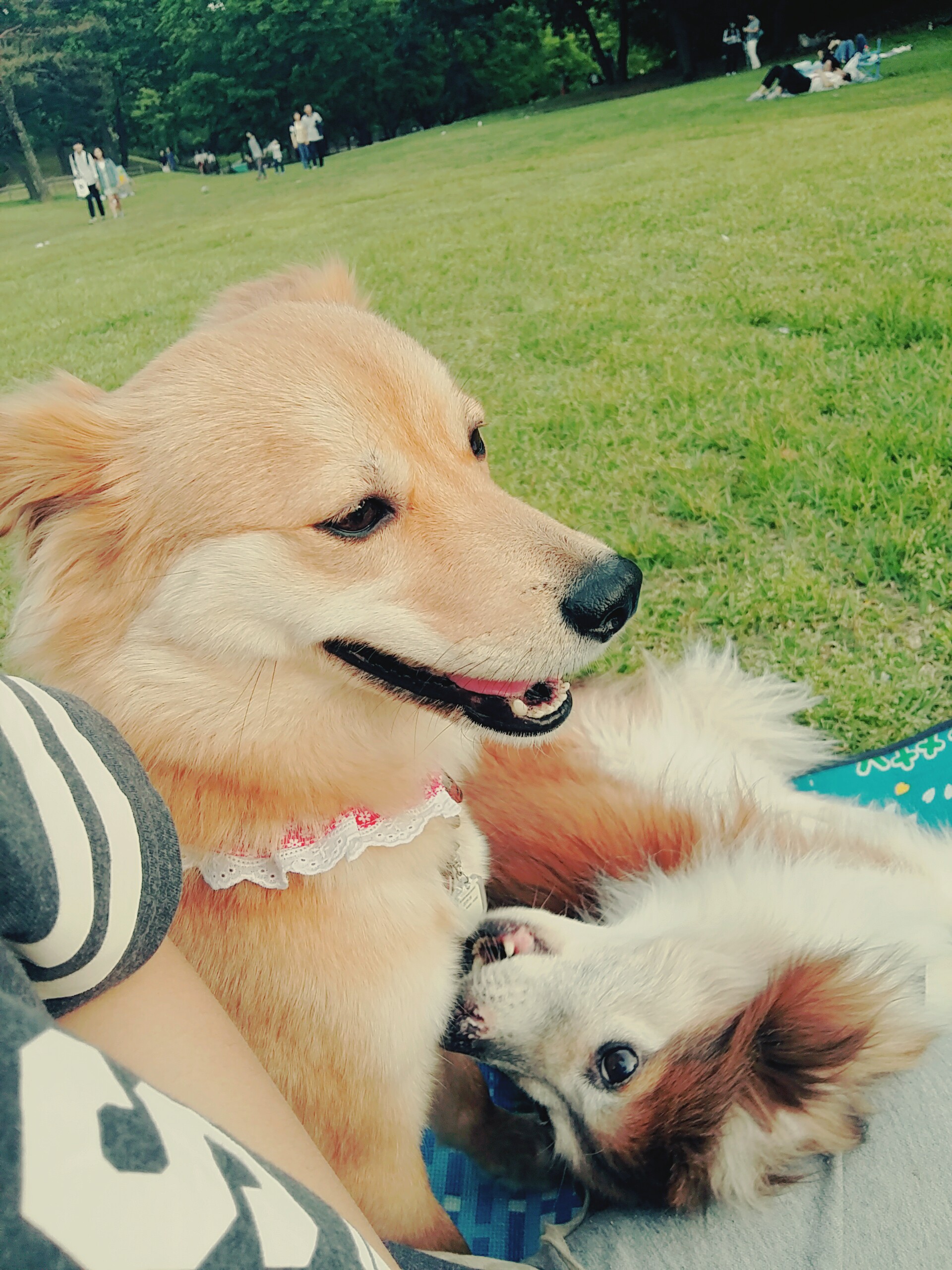 금비와 입양의날 행사♡