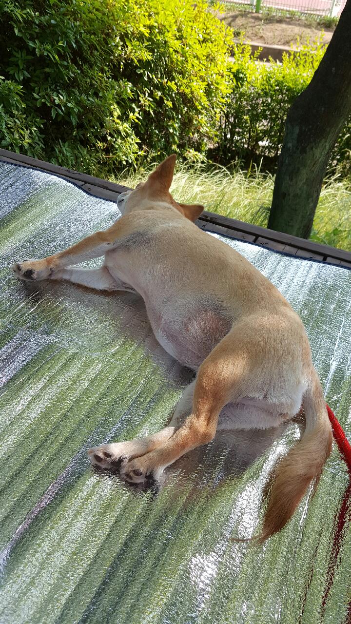 동행~~