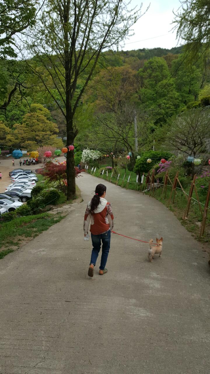 동행~~