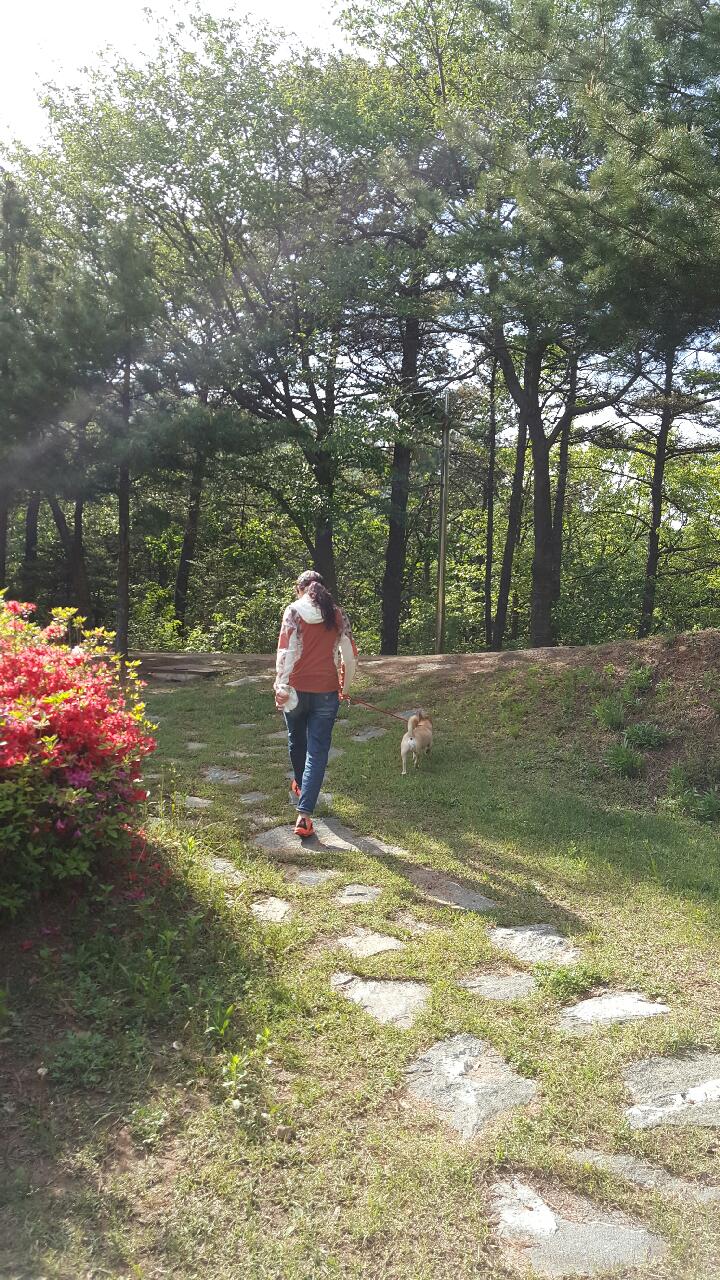동행~~