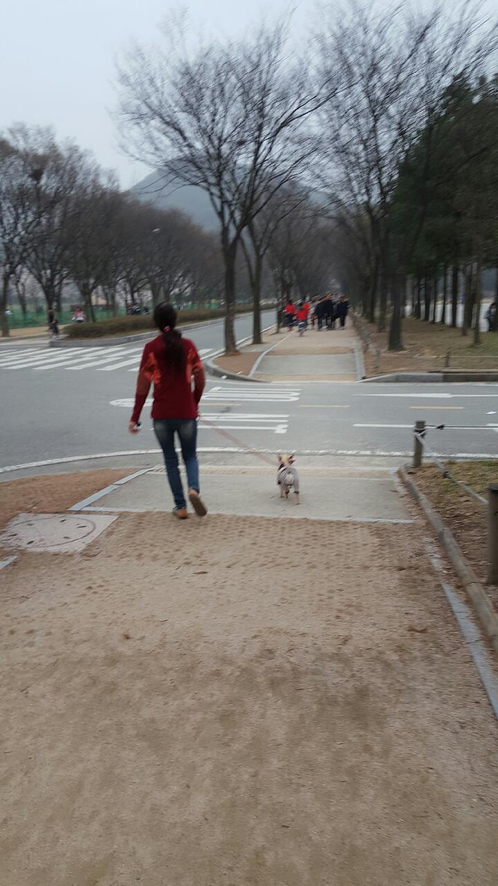 동행~~
