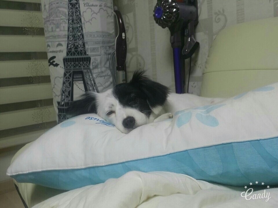 ♥두렁 두렁♥ 두렁이 소식 올립니다~~