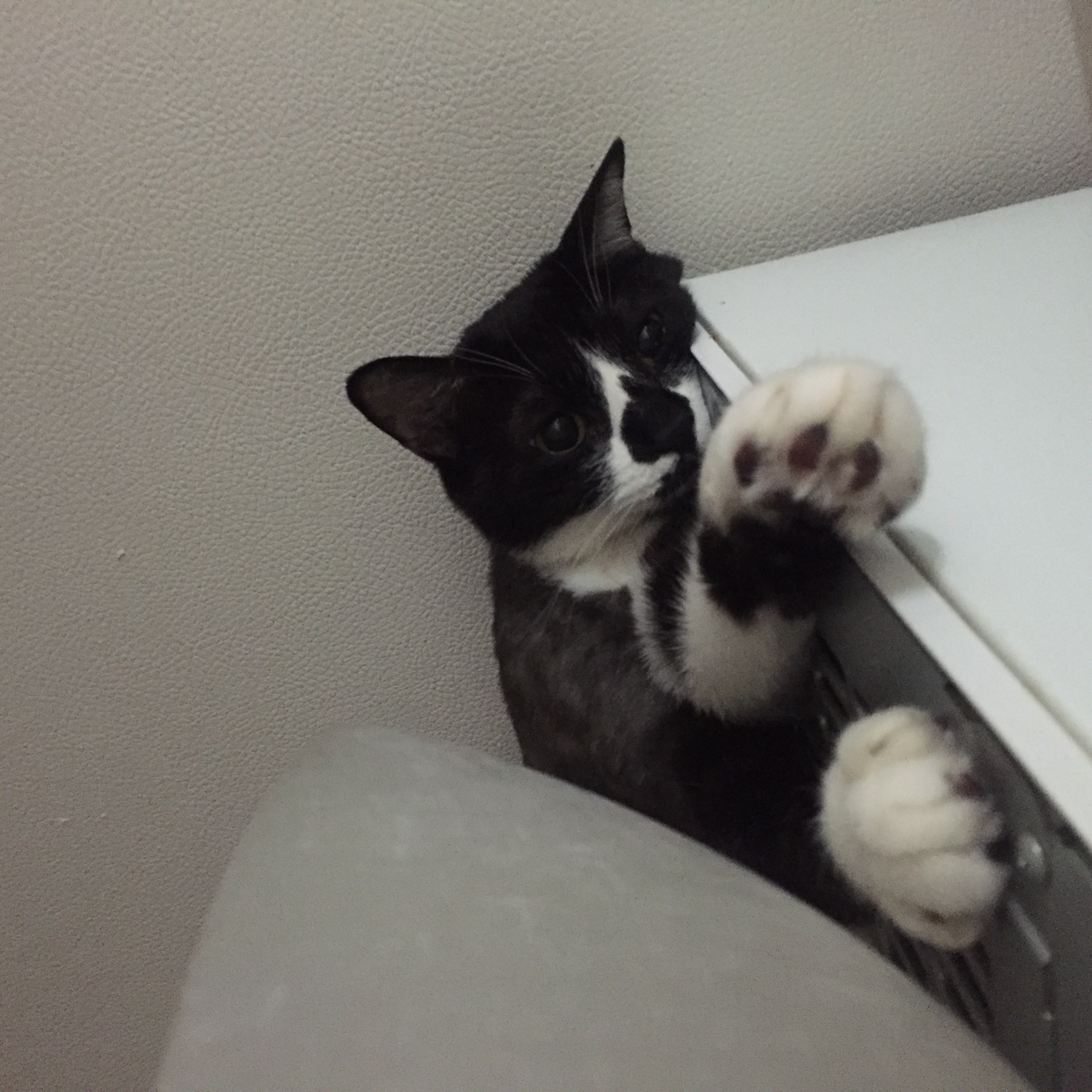 똘이입니당 ^.^