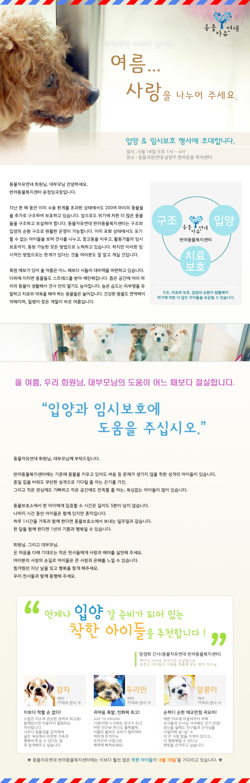 6월 18일 <깜짝 입양행사>에 입양가족 여러분을 초대합니다~!