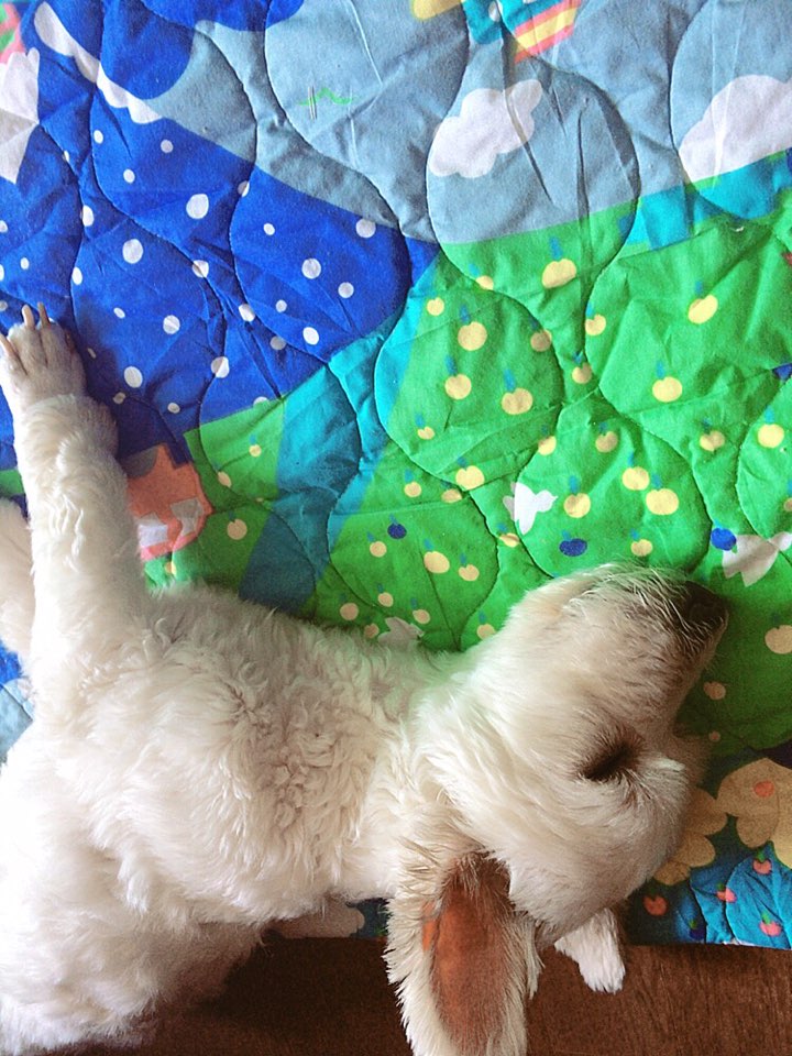 리치 두번째 근황입니다!!:)