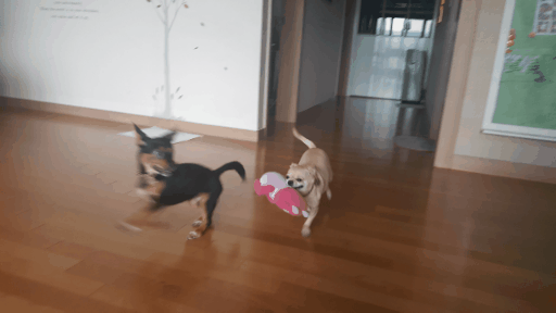 가인이 딱 3주되었어요!!