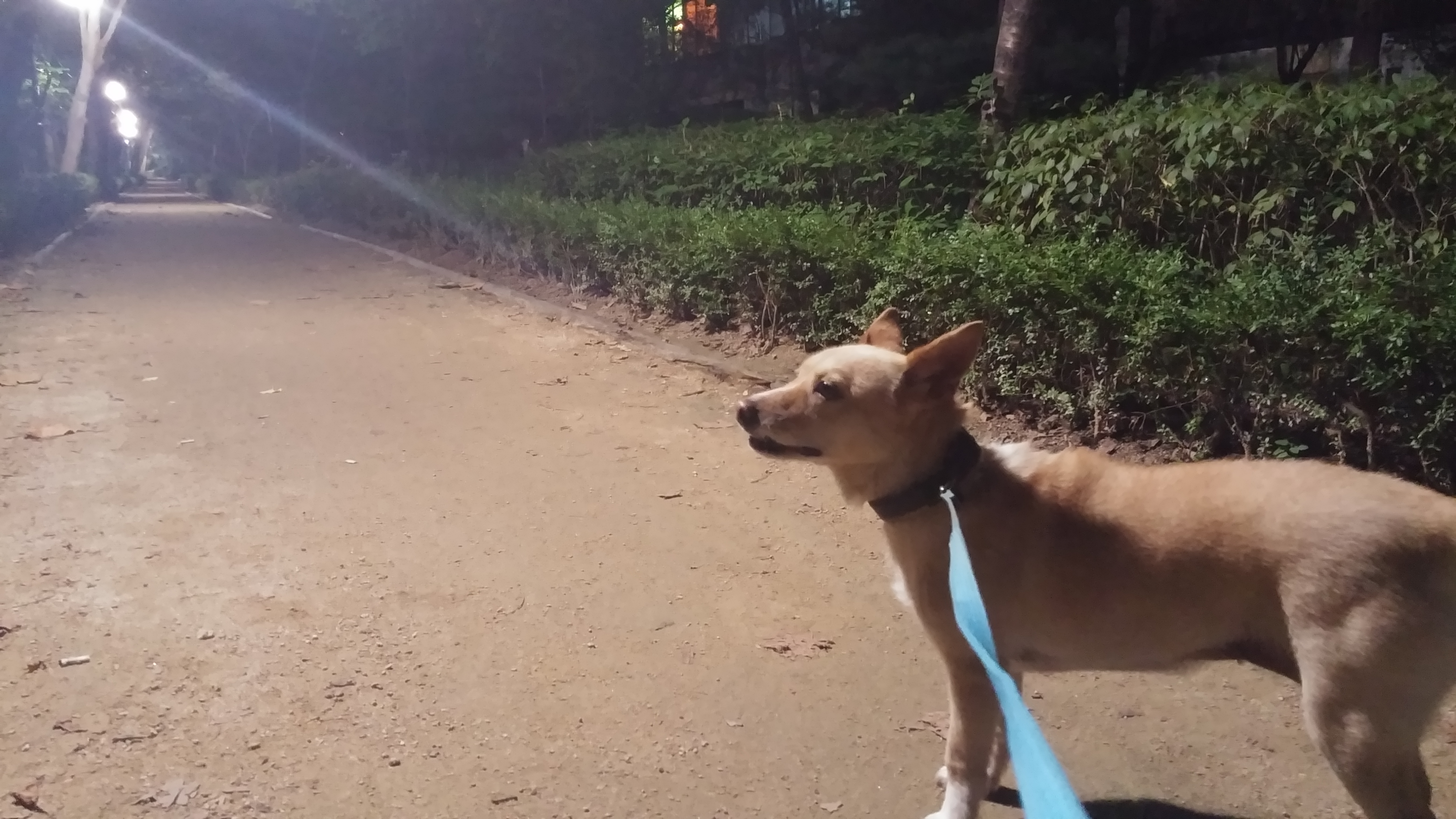 살랑이 아주 오랜만에 인사올립니다~~! 