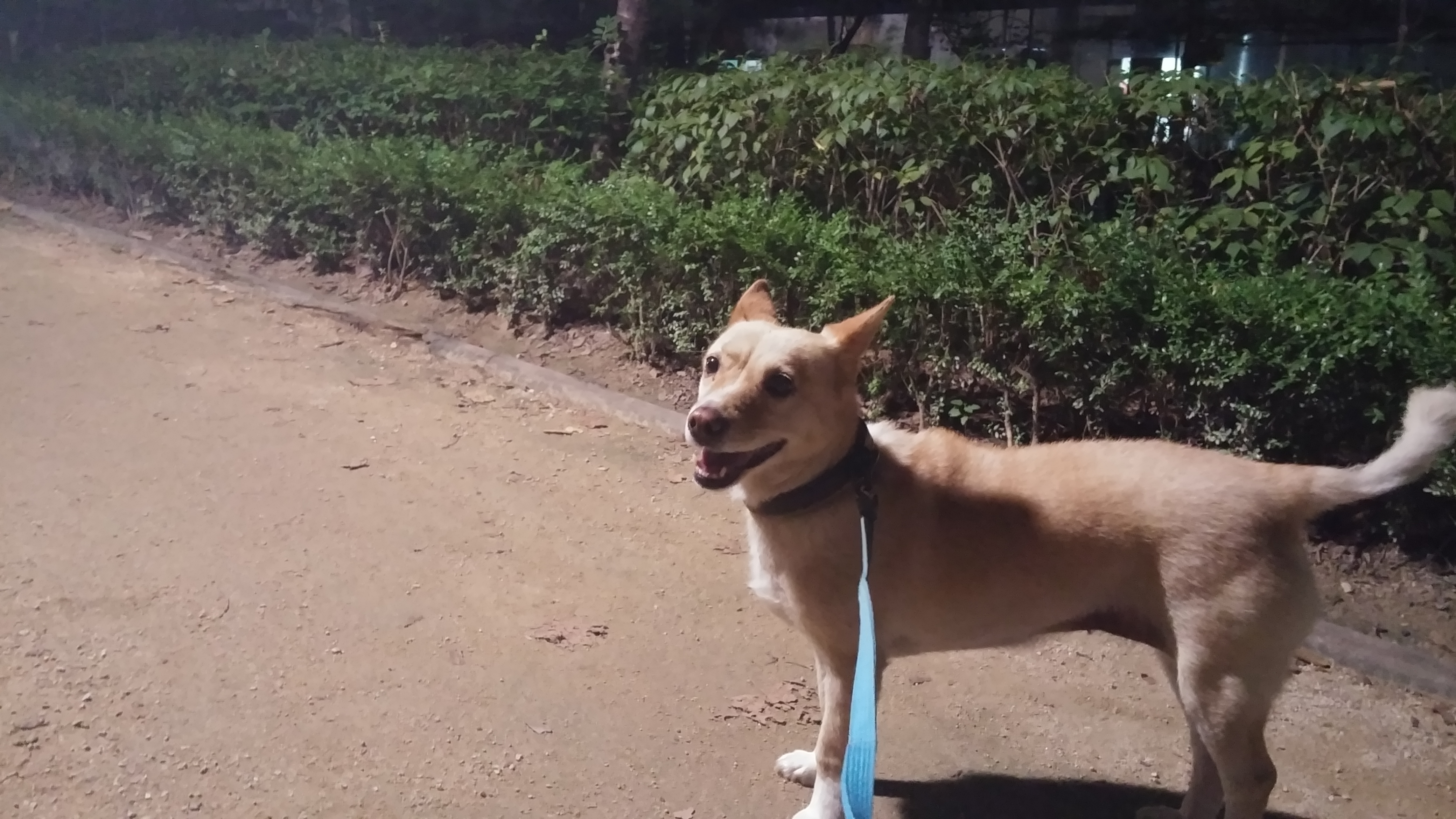 살랑이 아주 오랜만에 인사올립니다~~! 