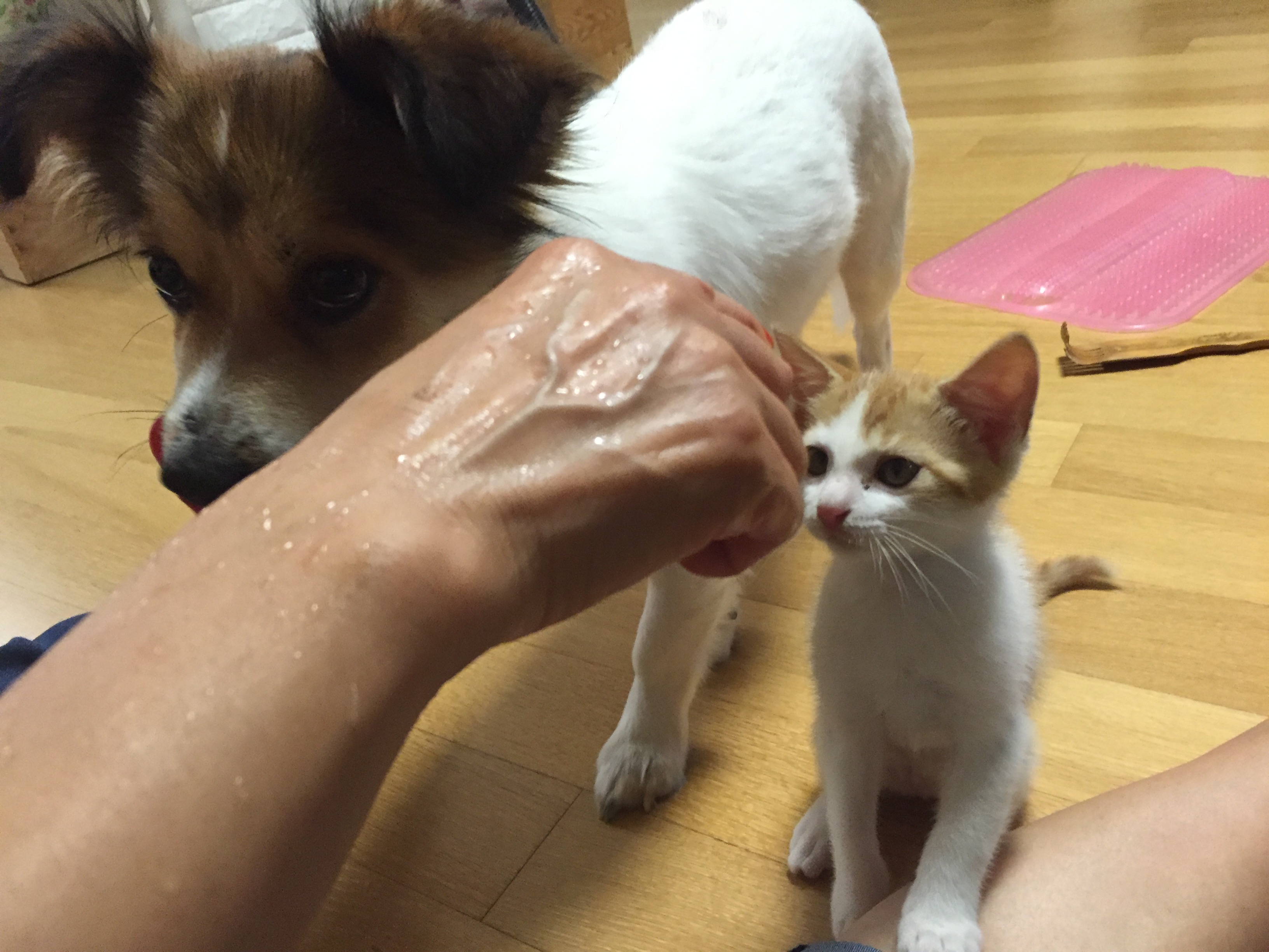 로이 근황이예요.