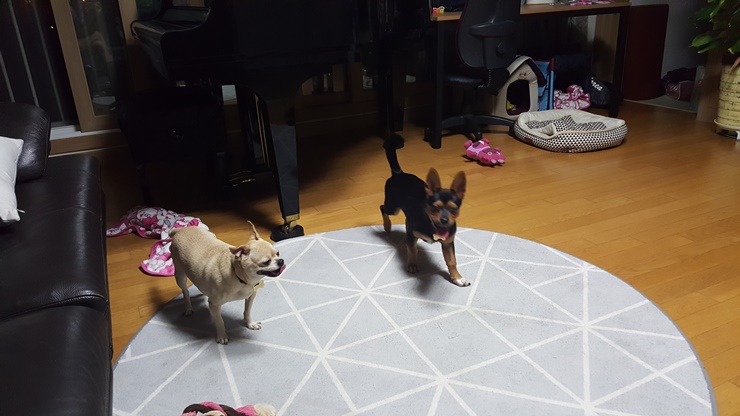 가인이 많이 컸어요^^