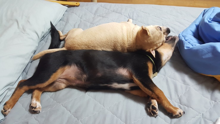 가인이 많이 컸어요^^