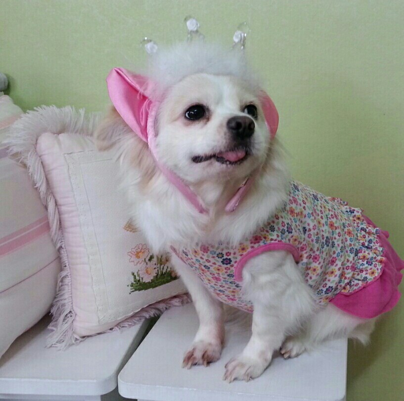 셔리 3탄!!
