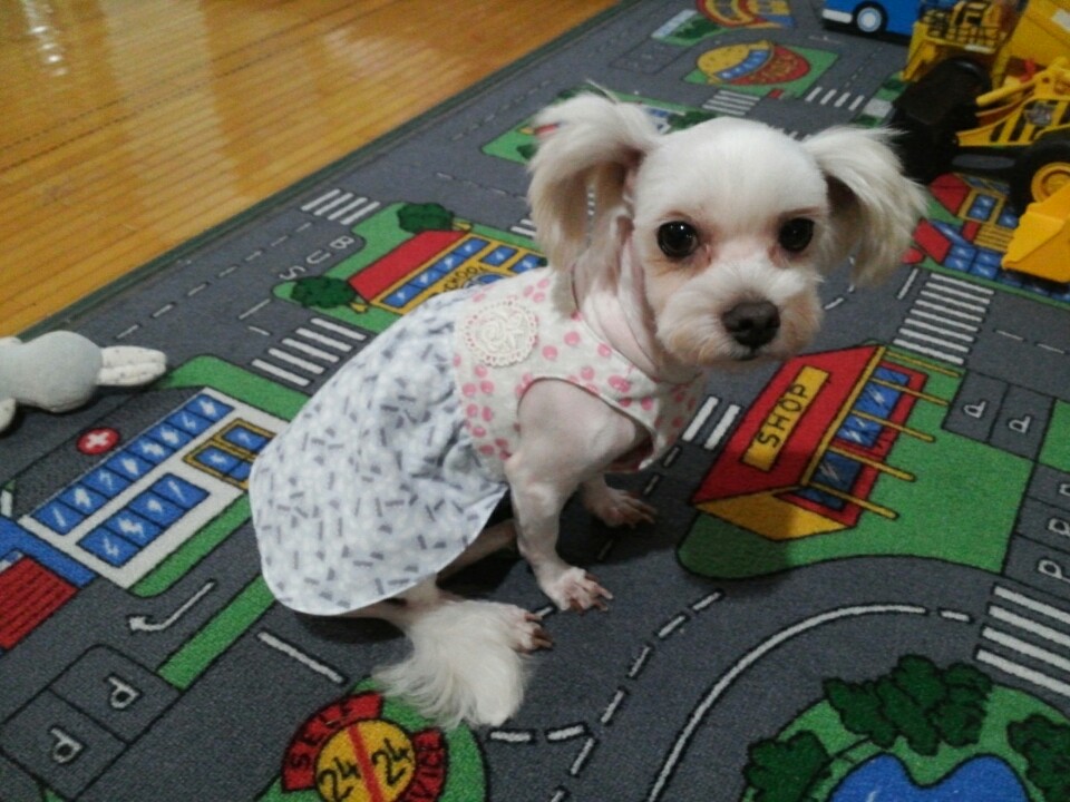달콩(홍당무)이가 석달이 되었네요