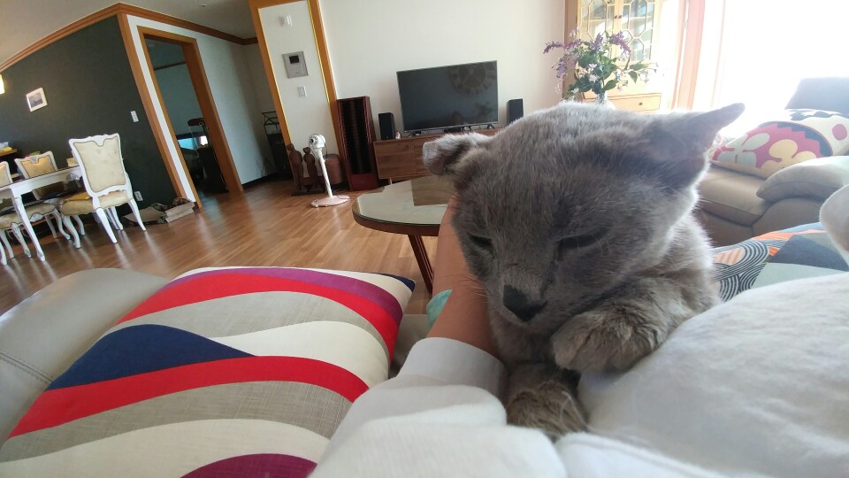 가을이근황^^