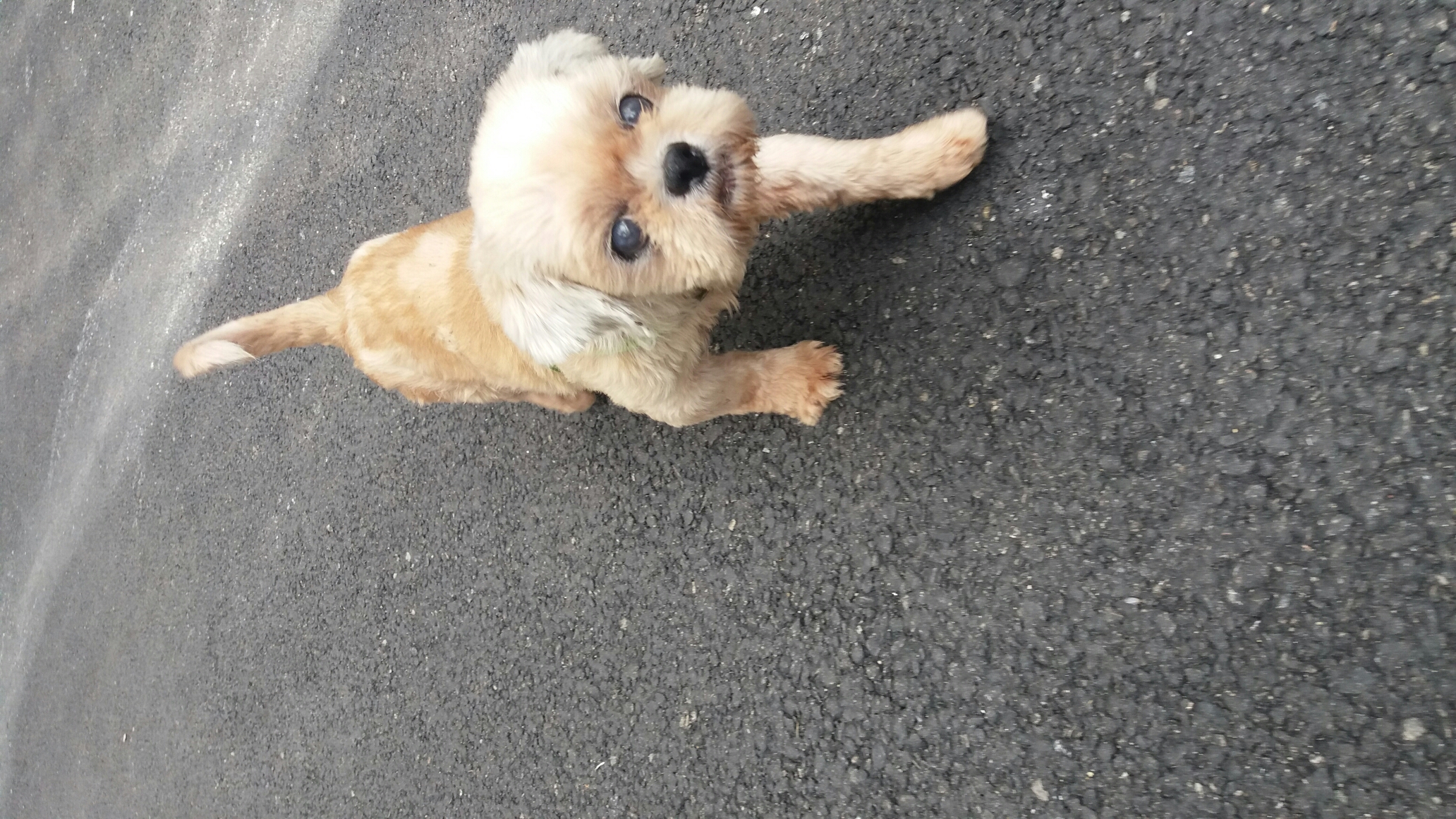 알콩이 한달 적응기