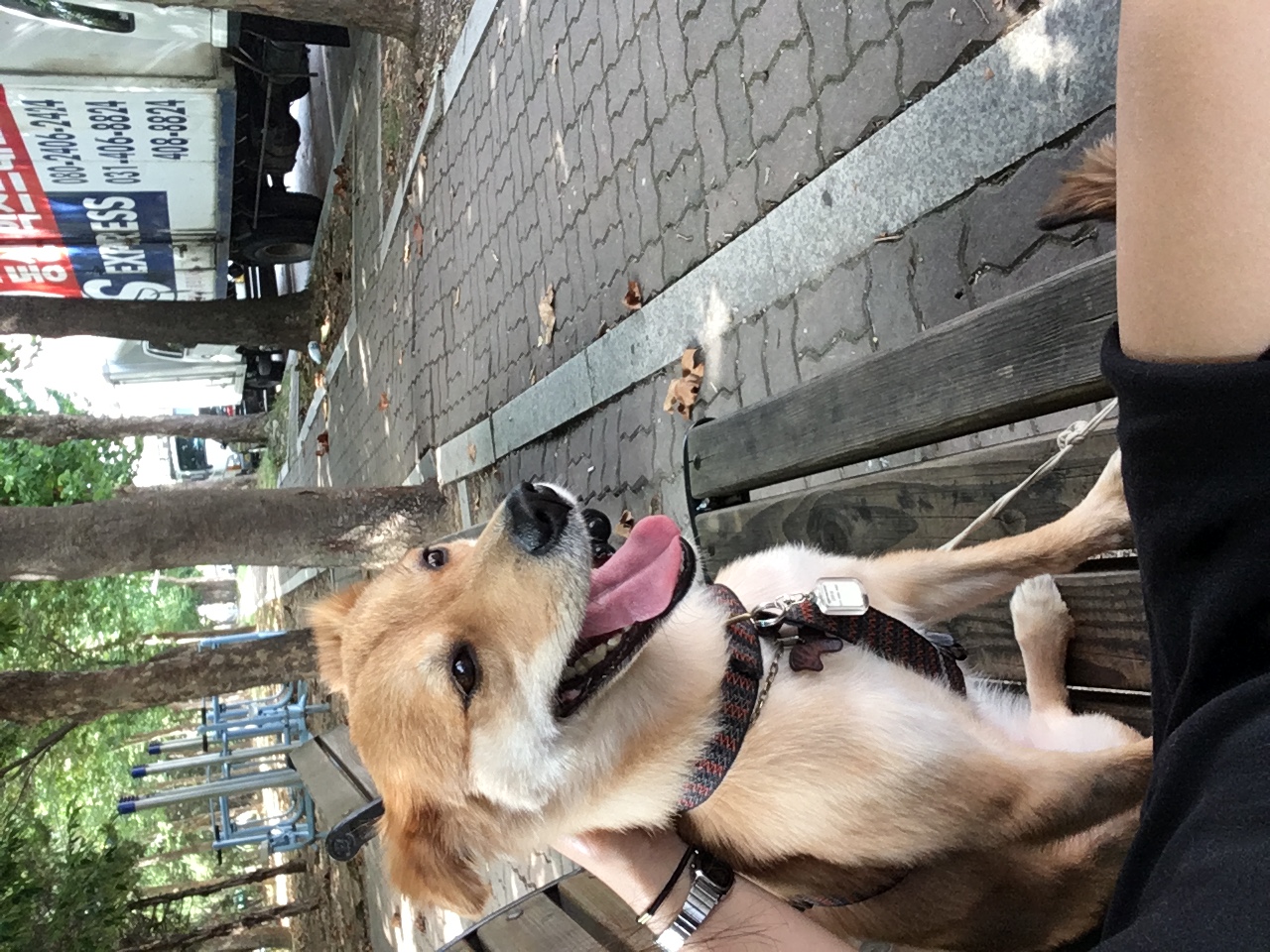 꽃개보고 힐링하세요ㅎㅎ