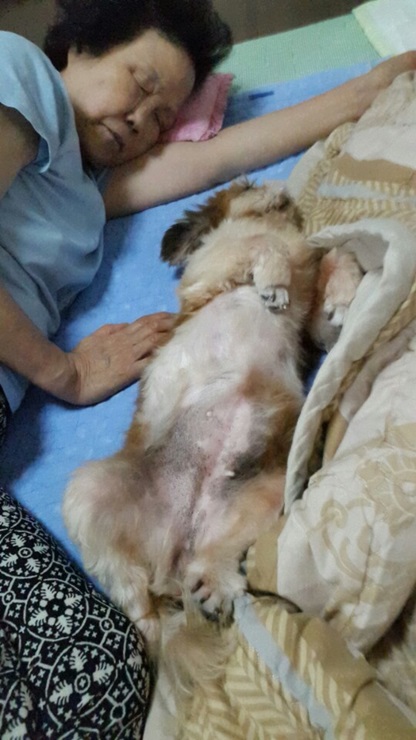 하니(민들레) 가정생활