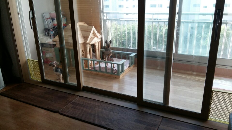 티파니(밤이), 샤넬(슈가) 소식입니다.