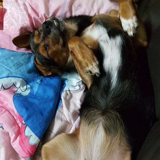 가인이 벌써 5개월이 다되가네요~^^