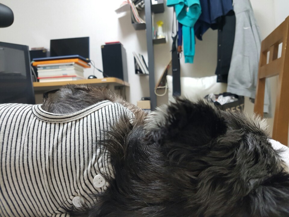 당근이 입양후입니다 ~