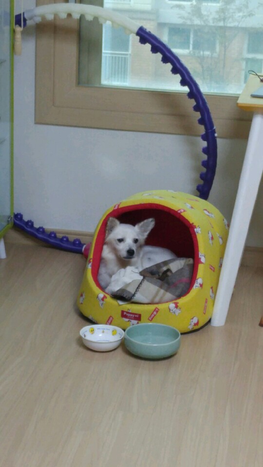 울  치즈 벌써 한달입니다~~^^ 