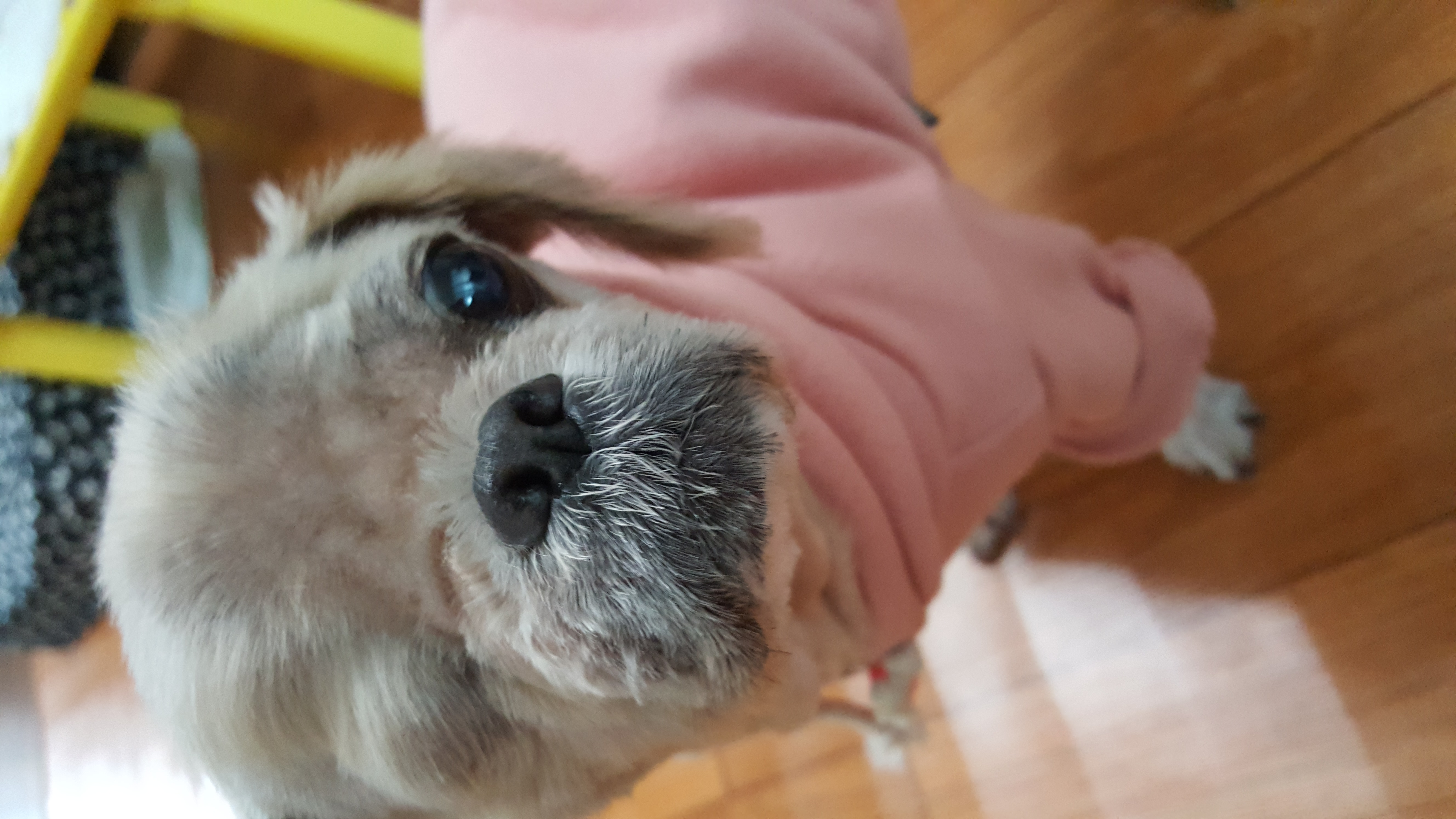 보리 두번째 이야기 올려요~^^